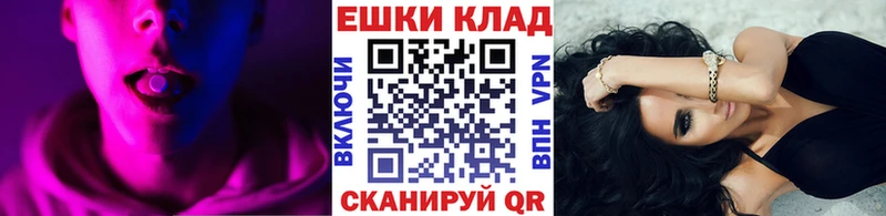мега ссылки  хочу   Мариинский Посад  Ecstasy Philipp Plein 
