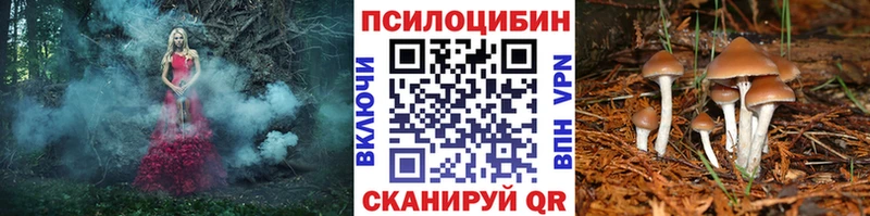 ОМГ ОМГ рабочий сайт  Мариинский Посад  Псилоцибиновые грибы мицелий  магазин  наркотиков 
